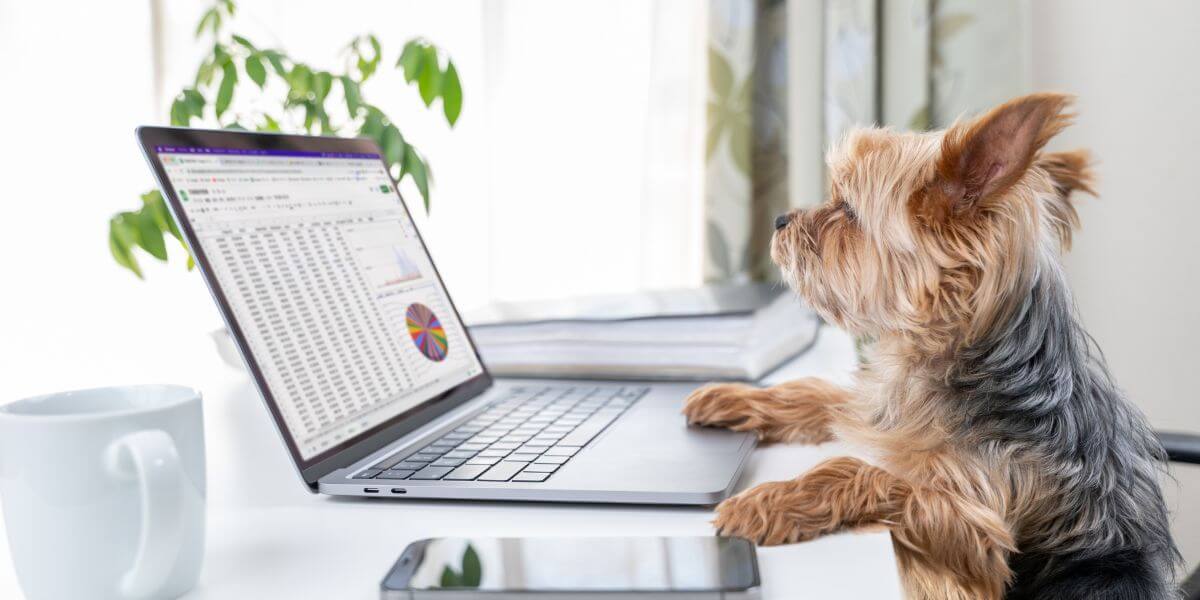 獣医学部のCBT対策イメージ