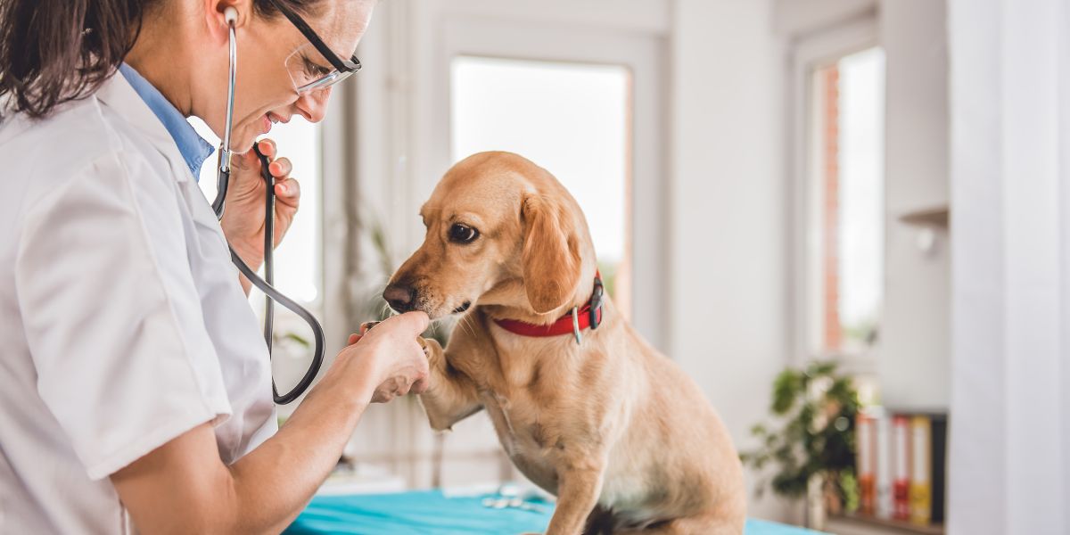 実習のイメージ