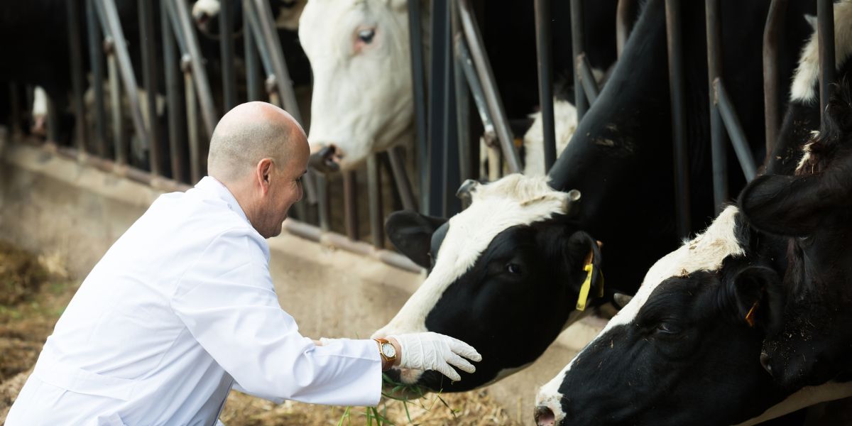 職域別の志望動機を作る