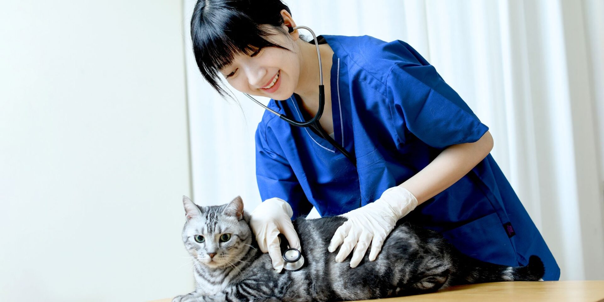 Meg獣医師予備校ヒーロー