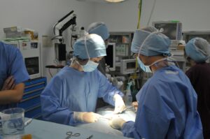 獣医師予備校 東京農工大学｜入試対策・合格後の進級対策ならMeg獣医師